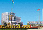 公司介绍